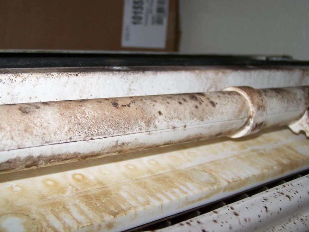 Dirty ice machine interior tubing