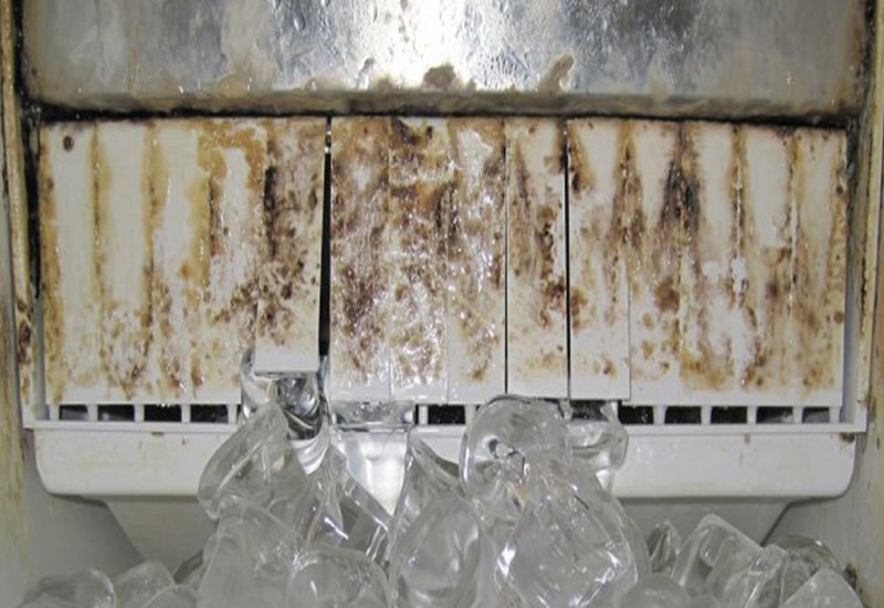 Dirty ice machine interior and contaminated ice
