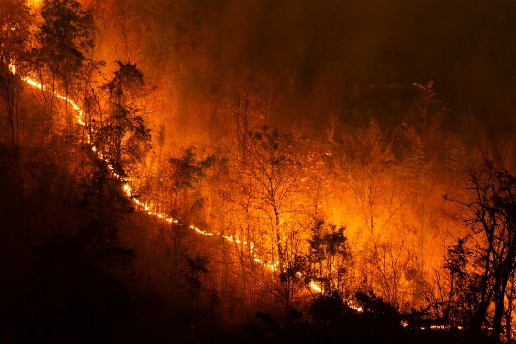 Wildfire Smoke: What You Need to Know to Stay Safe