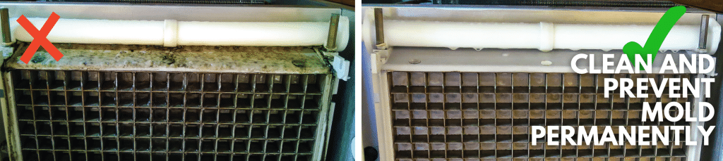 Clean Mold from a Commercial Ice Machine (and Prevent It Permanently)