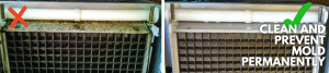 The Real Cost of Cleaning Commercial Ice Machines. How to Stop Mold at the Source? Featured Image